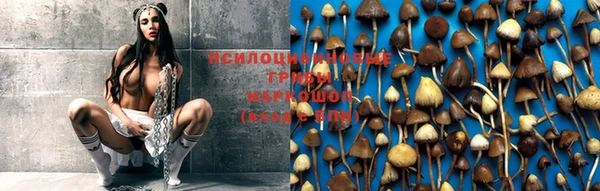 дмт Липки