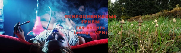 дмт Липки