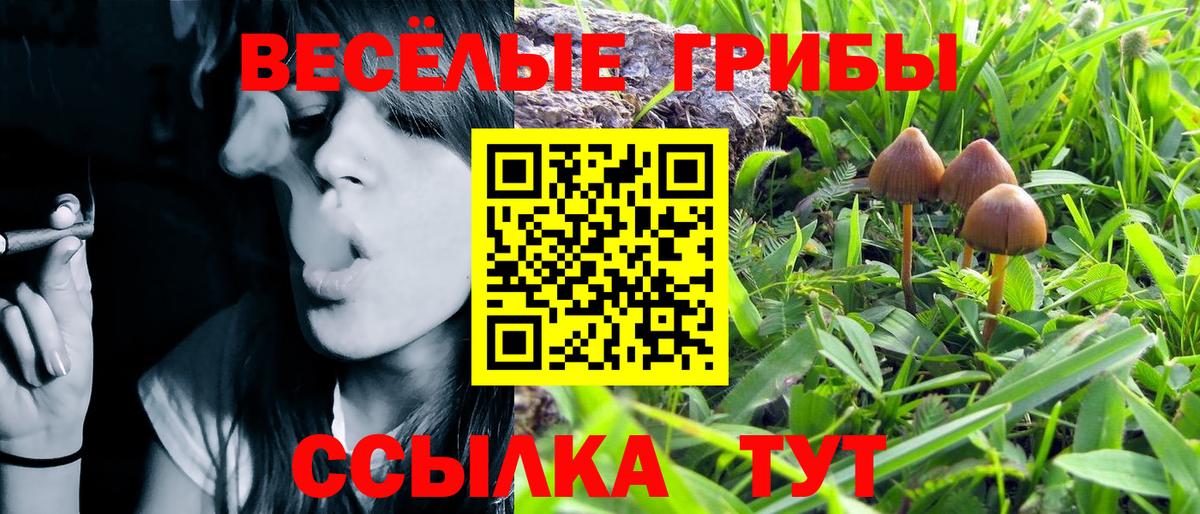 Радужный  Псилоцибиновые грибы Magic Shrooms  Вход с VPN 